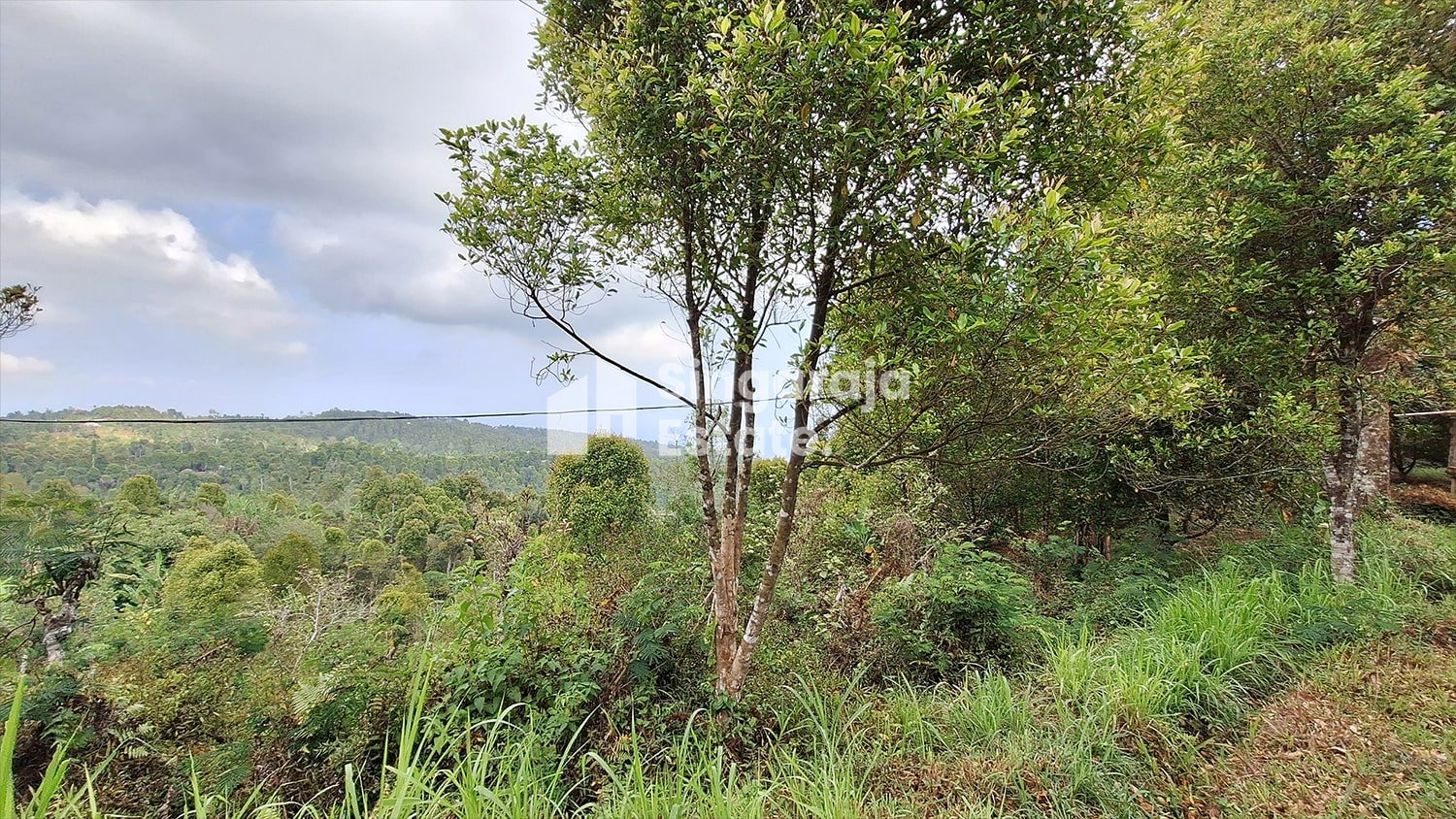 Tanah 5 Hektare View Laut di Dataran Tinggi Buleleng - Image 2
